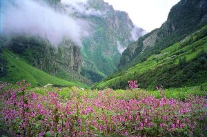 Nanda Devi & Valley of Flowers